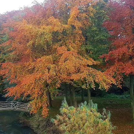 With A View, Torning Molle Quarto em Acomodações Particulares Christiansfeld